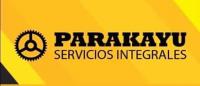 PARAKAYU PARAKAYU