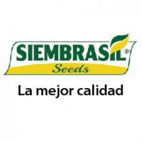 SIEMBRASIL SEEDS S.R.L.
