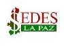 Servicio Departamental De Salud La Paz Sedes