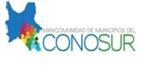 Mancomunidad Del Cono Sur - Consejo De Desarrollo