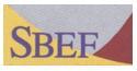 Superintendencia De Bancos Y Entidades Financieras Sbef