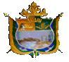 Gobierno Autonomo Municipal De Arani