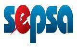 Servicios Electricos Potosi S.A. - Sepsa