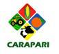 Gobierno Autonomo Regional Del Chaco Tarijeño - Carapari