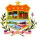Gobierno Autonomo Municipal De Villa Nueva