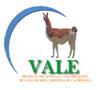 Unidad De Gerencia De Proyecto - Proyecto Apoyo A La Valorización De La Economía Campesina De Camelidos -  Vale