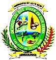 Gobierno Municipal De Alto Beni