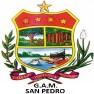 Gobierno Autonomo Municipal De San Pedro