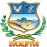 Gobierno Autonomo Municipal De Eucaliptus