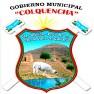 Gobierno Autonomo Municipal De Colquencha