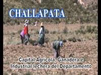 CONCEJO MUNICIPAL DE CHALLAPATA